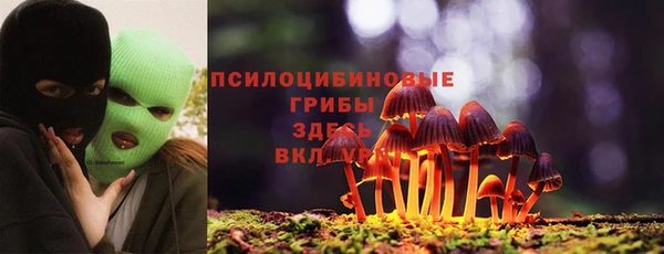 шишки Армянск