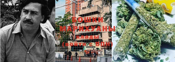 тгк Ладушкин