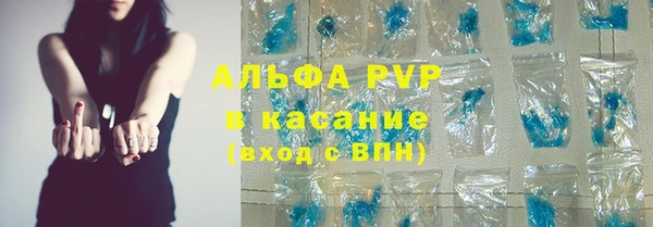 гашик Арсеньев