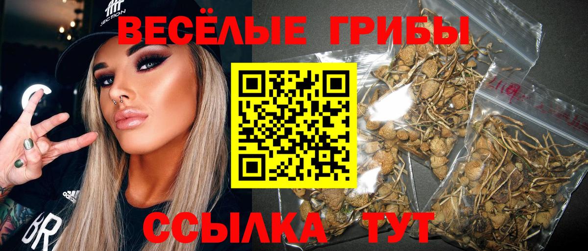 купить закладку  Галлюциногенные грибы мухоморы  Вход с VPN  Шадринск  Галлюциногенные грибы Psilocybe 